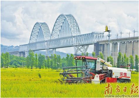 藏粮于地藏粮于技 广东严守耕地红线 第19533版：专题 2023 06 26 南方日报数字报 南方网