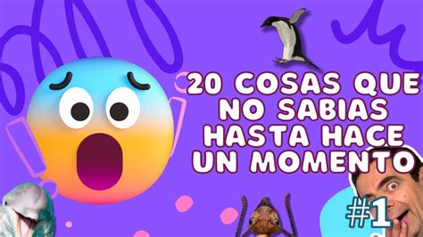 20 Cosas Que No Sabias Hasta Hace Un Momento Youtube