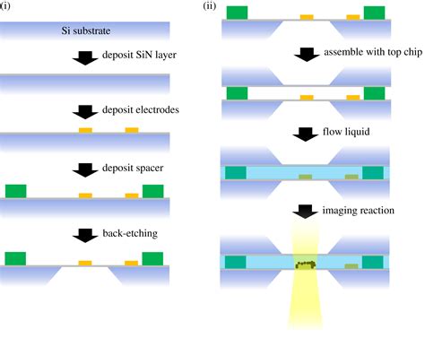 Liquid Cell Transmission Electron Microscopy And Its Applications