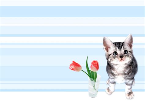 Create meme "kittens and flowers" - Pictures - Meme-arsenal.com