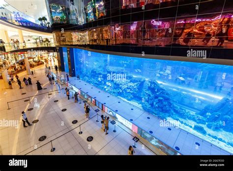 Dubai aquarium mall hi-res stock photography and images - Alamy