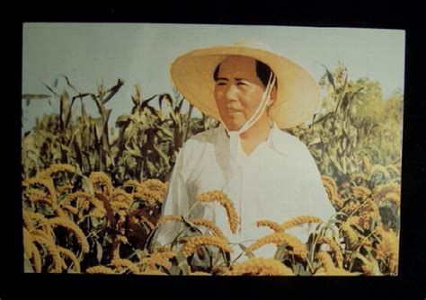 1958年毛主席在河南农村视察 价格6元 Se2883049 明信片邮资片 零售 7788收藏收藏热线