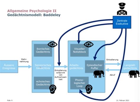 Allgemeine Psychologie II Flashcards Quizlet