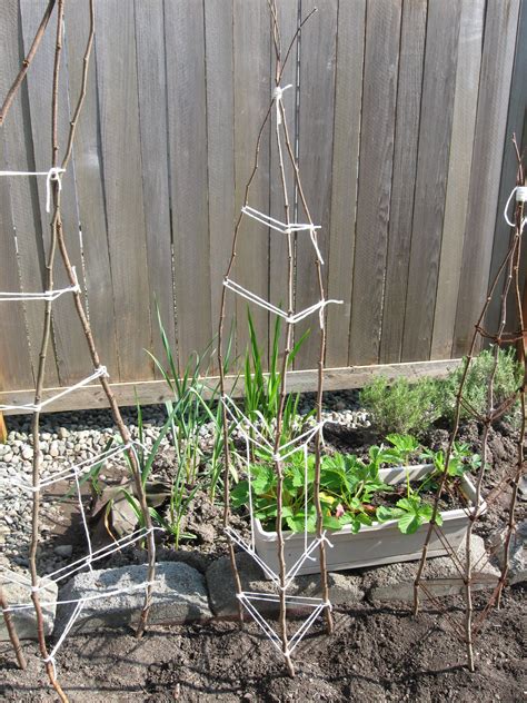 Just Made Some Branch Teepee Trellises With Some Left Over Yarn