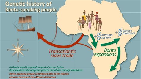 A00 And So Called Genetics Adam The Trickster Haplogroup Youtube