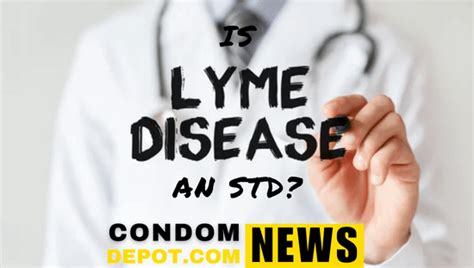 Lyme Disease New Evidence Suggests Its An Std