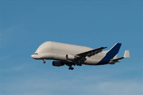 airbus_a300_beluga_render-1.jpg - AeroTime