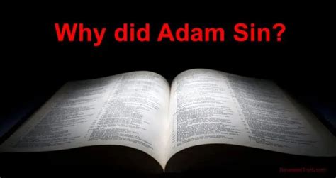 Genesis The Fall Why Did Adam Sin Revealed Truth