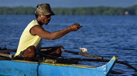 Si Pilemon Lyrics- Lyrics And About The Cebuano Folk Song