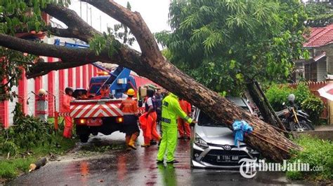 BREAKING NEWS Mobil Tertimpa Pohon Saat Hujan Deras Dan Angin Kencang