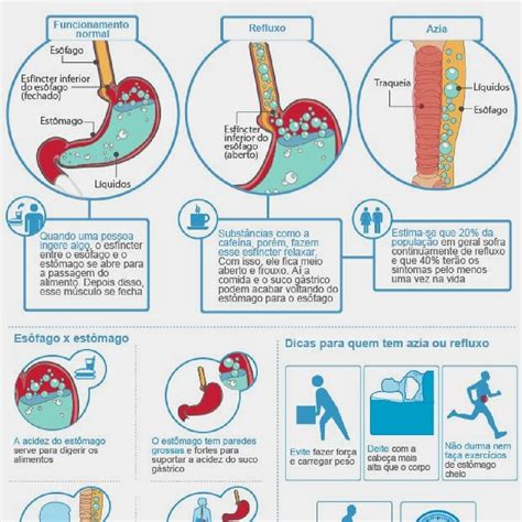 Luciano Sousa Fisiologista AZIA E REFLUXO CONHEÇA SUAS DIFERENÇAS