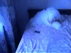 Inviting Brunette Diva Tanya Blowing Well Xxx Mobile Porno Videos Movies Iporntv Net