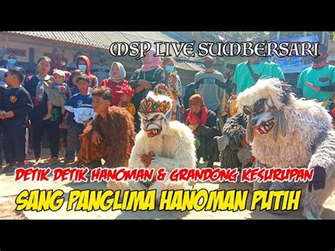 Kuda Lumping Mutiara Surya Putra Msp Panglima Hanoman Live In