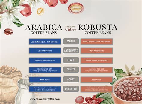 What's the Difference Between Robusta and Arabica Coffee - Best Quality ...