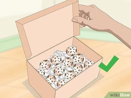 How To Hatch Quail Eggs