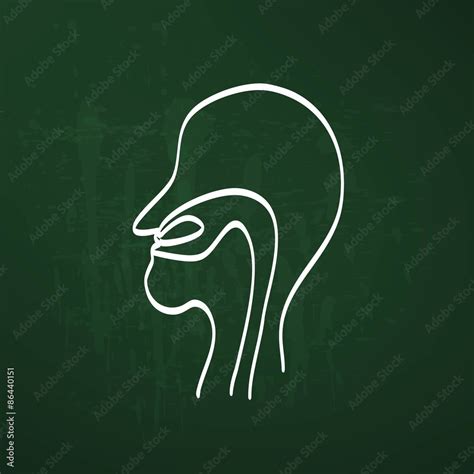 Vetor De Nose Anatomy Outline Chalk Painted On Chalkboard Vector