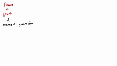 Solved Diagram The Structure Of A Mature Angiosperm And A Mature Gymnosperm Seed Indicating The