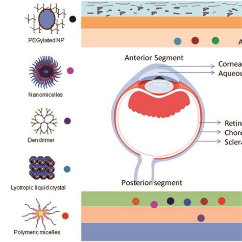 Schematic Representation Of Different Nanocarrier Systems And Their