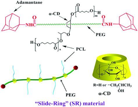 Structure Of The Slide Ring Material Reprinted From 13 With