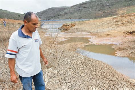 Fenómeno De El Niño Arrasa Con 93 000 Héctareas Por Incendios