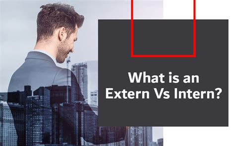 Externship Vs Internship A Complete Guide For Students