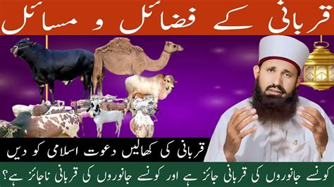 Qurbani Ke Fazail O Masail Qurbani Ki Khalen Dawat E Islami Ko Den