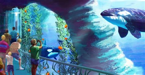 Seaworld Announces Construction Of Bigger Orca Tanks Their Turn