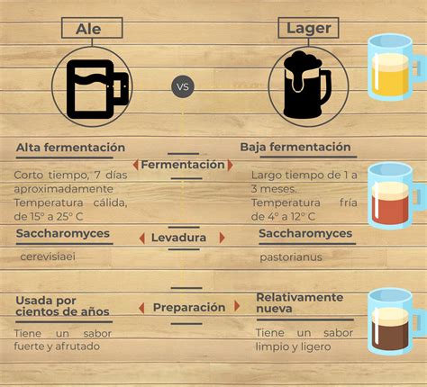 Cerveza Qué es y cómo se hace Cocteles Coquetos