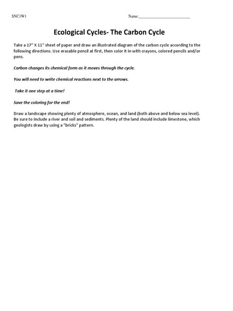 Carbon Cycle Diagram Activity | PDF | Carbon Dioxide | Carbon Cycle