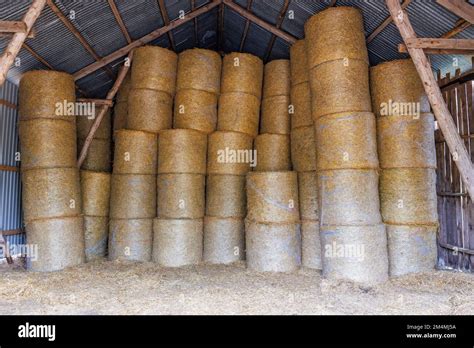 Round Bales Stored In An Old Barn Under A Roof Stock Photo Alamy