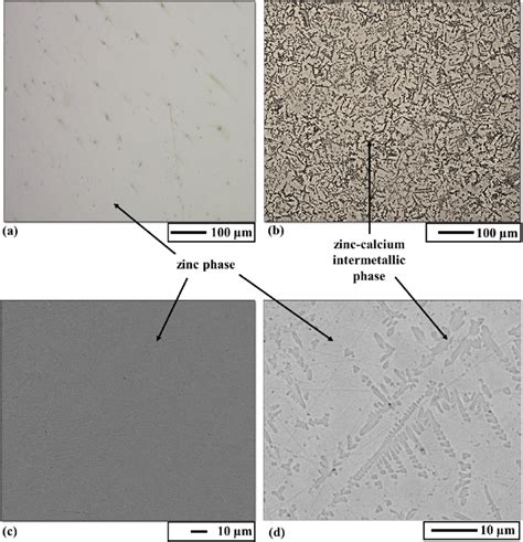 Optical Microscope Images Showing The Surface Of A Zn And B Zn Ca