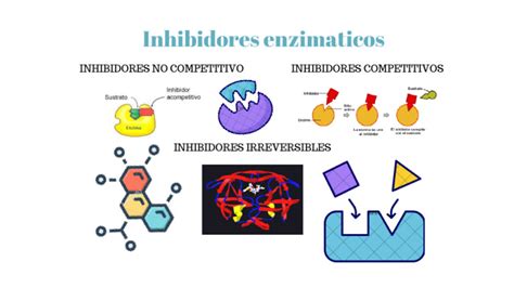 Inhibidores Enzimaticos Pdf