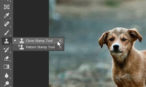 The Beginner's Guide to Clone Stamp Tool in Photoshop - PSD Vault