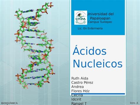 Pptx Cidos Nucleicos Dokumen Tips