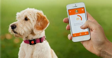 Of The Hottest Smart Tech Pet Products Petmoneysaver