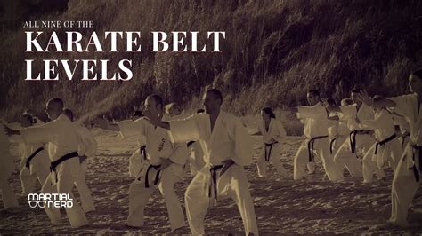 All Nine Of The Karate Belt Levels Martial Nerd