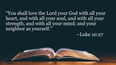 Your Daily Bible Verses Luke Integrated Catholic Life