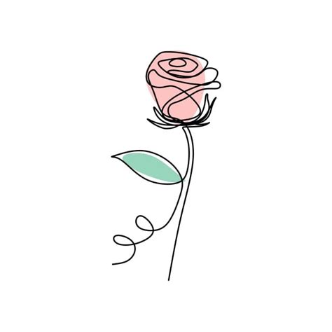 Dibujo De L Nea Continua Arte Flor Rosa Dise O Minimalista Ilustraci N