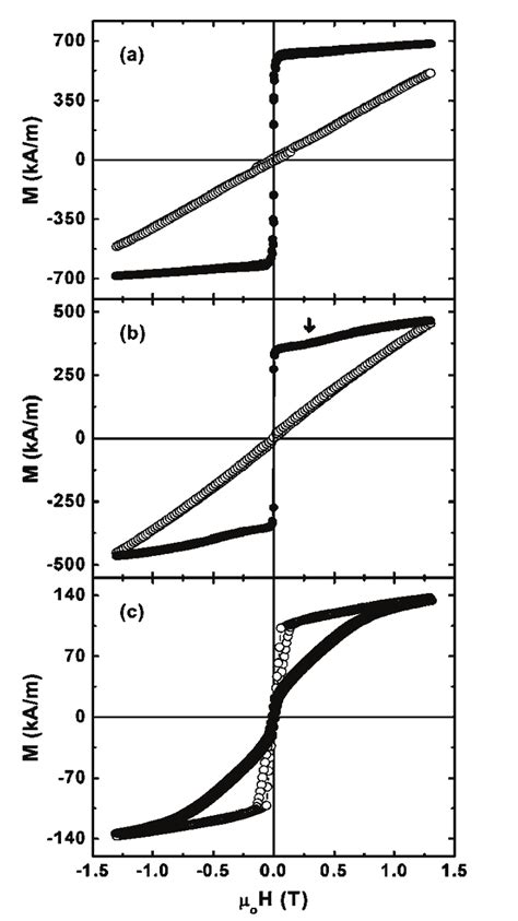 Room Temperature Magnetic Hysteresis Loops Measured In The Magnetic