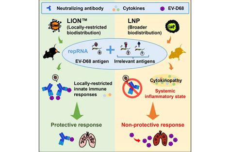 New Study Reveals Self Replicating RNA And Novel Vaccine Delivery