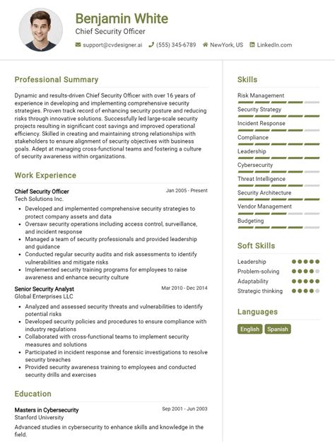 Chief Security Officer CV Example For 2024: Tips to Stand Out