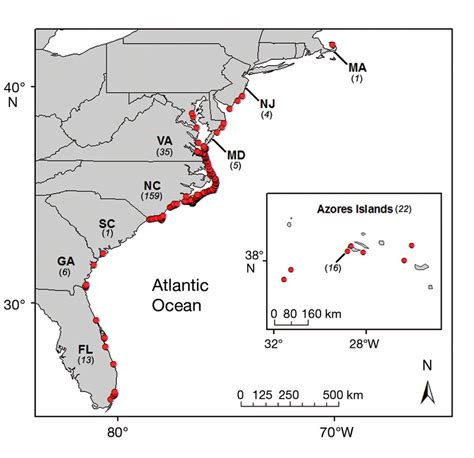 Loggerhead Sea Turtle Habitat Map