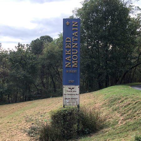 Naked Mountain Winery Vineyards Markham All You Need To Know