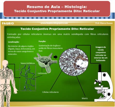 FAQBIO Apoio Ao Estudo De Biologia Ficha Resumo Histologia Tecido