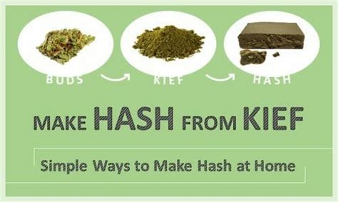 Make Hash From Kief Expert Guide To Create And Smoke Hashish