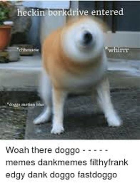 Doggo Meme Comp