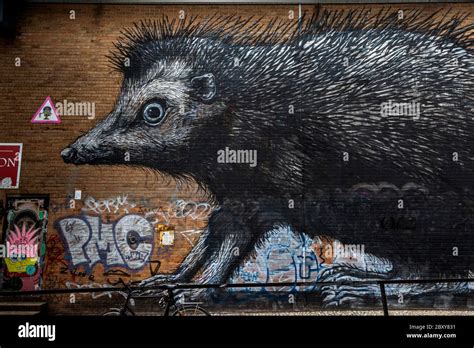 Picture of a hedgehog. Street Art in Royal Borough of Kensington and ...