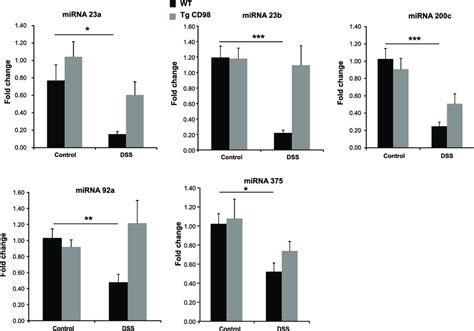 Colonic MiRNA Expressions Are Downregulated In DSS Treated WT Mice