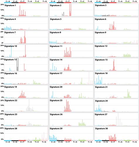 Cosmic Signatures Of Mutational Processes In Human Cancer