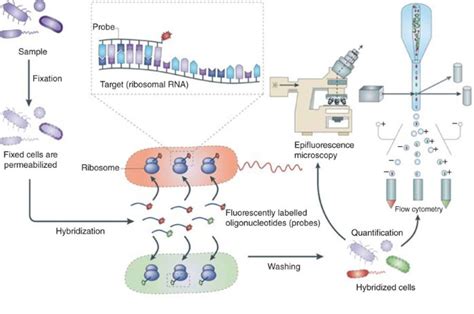 Methods in microbiome research | Lab Animal 